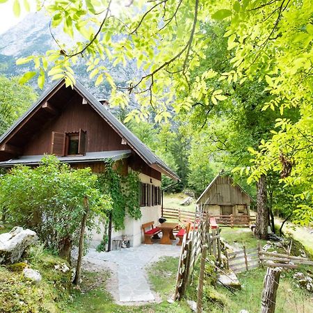 Alpine House Antonia Villa Trenta Ngoại thất bức ảnh