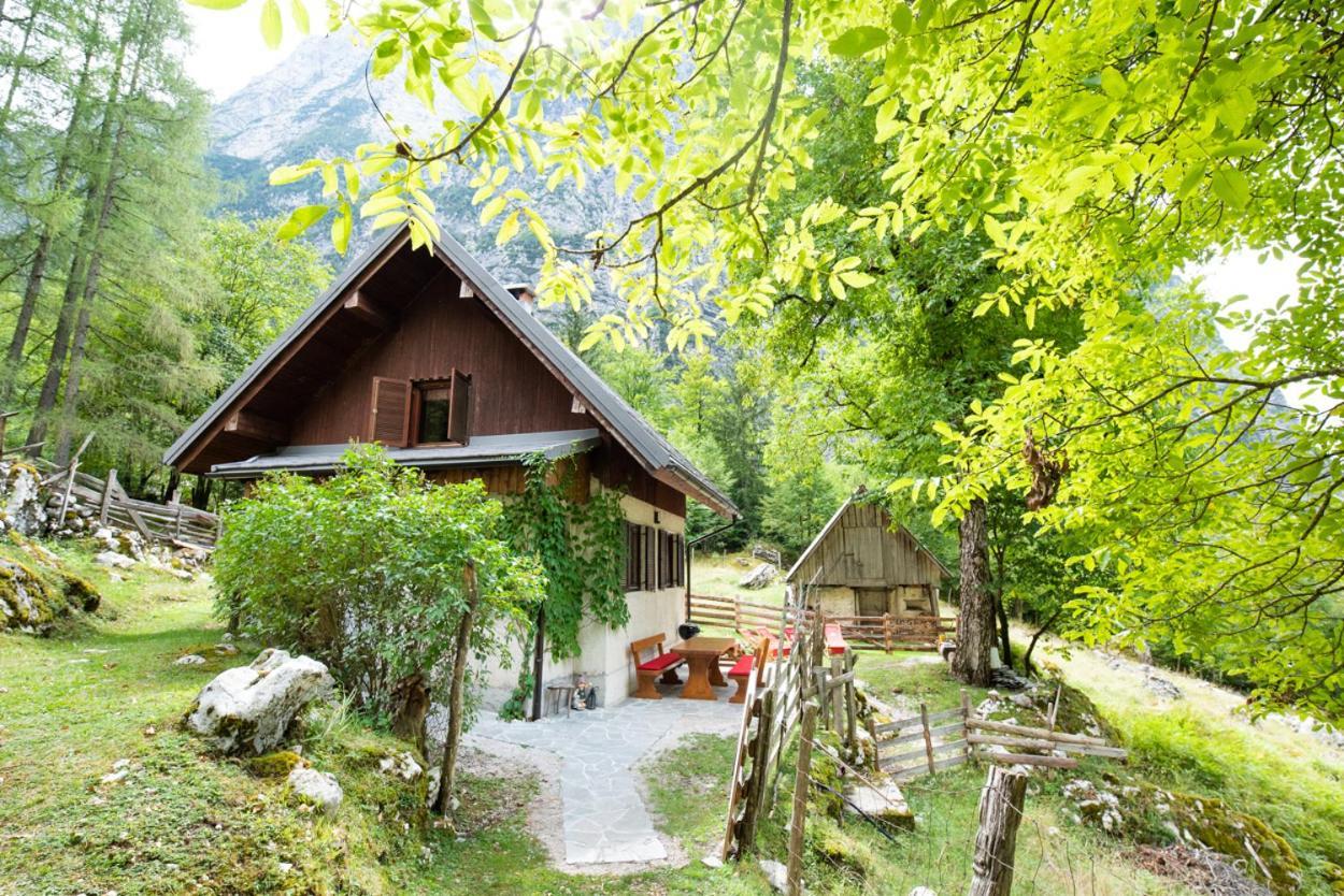 Alpine House Antonia Villa Trenta Ngoại thất bức ảnh